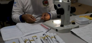 Alta Floresta reforça cuidados no combate ao Aedes aegypti durante o período chuvoso