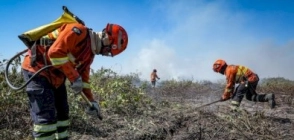 Decreto estabelece período proibitivo de uso do fogo em MT