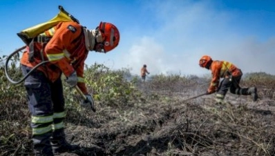 Decreto estabelece período proibitivo de uso do fogo em MT