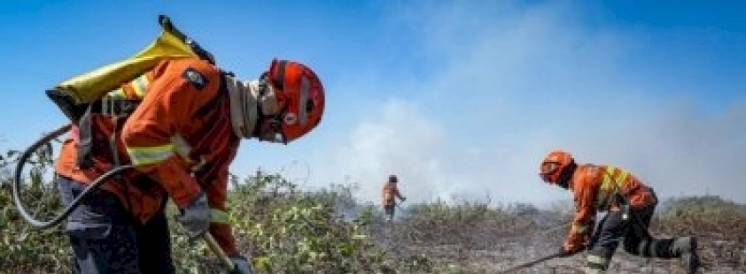 Decreto estabelece período proibitivo de uso do fogo em MT